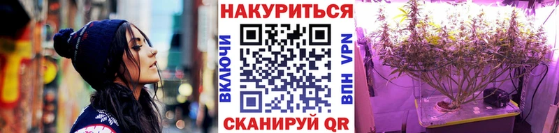 shop наркотические препараты  Шуя  Канабис планчик 